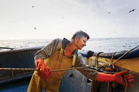 MSC ryby su lovené voľne, v oceáne, žiadna farma