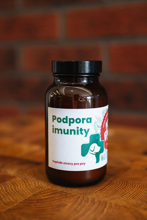 Podpora imunity