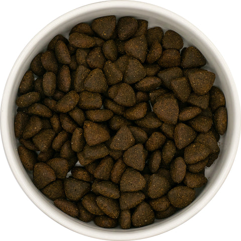 Losos – Granuly pre staršie psy