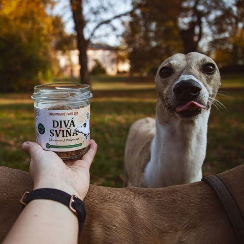 Divá sviňa – Sušienky