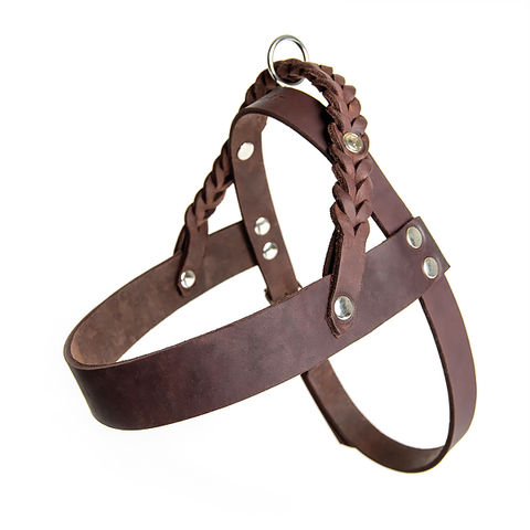 Harness Central Park
